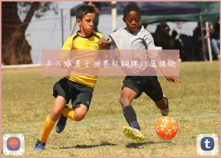乒乓球男子世界杯铜牌归属揭晓