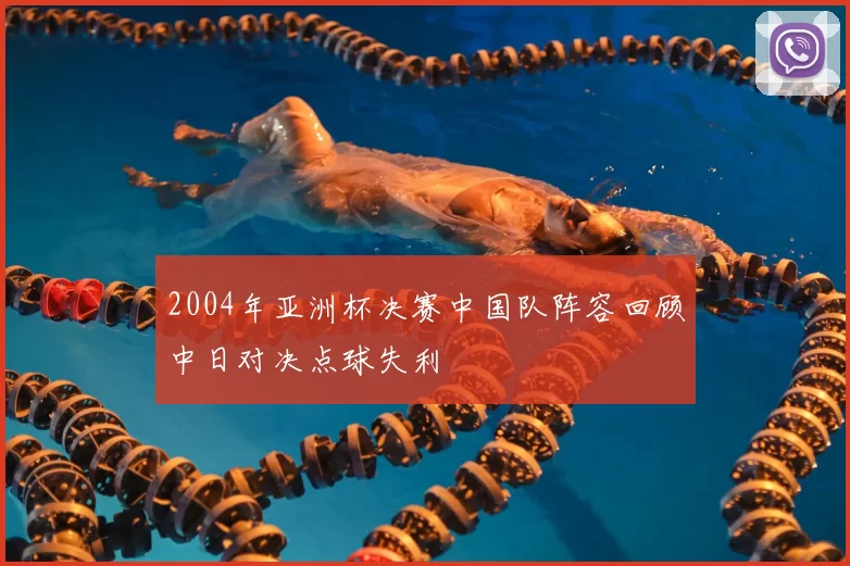 2004年亚洲杯决赛中国队阵容回顾中日对决点球失利