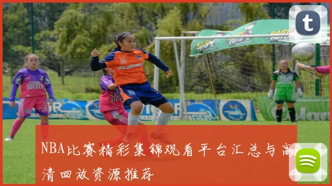 NBA比赛精彩集锦观看平台汇总与高清回放资源推荐