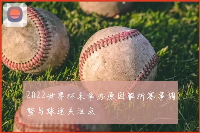 2022世界杯未举办原因解析赛事调整与球迷关注点