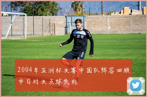 2004年亚洲杯决赛中国队阵容回顾中日对决点球失利